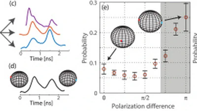 Ultrafast twin-peak rogue waves in a vector field featured image