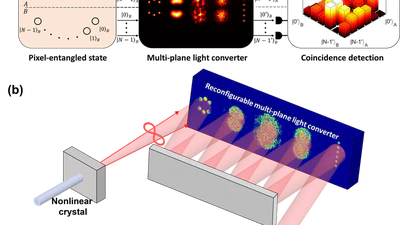 Processing entangled photons in high dimensions with a programmable light converter featured image