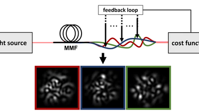 Tutorial: How to build and control an all-fiber wavefront modulator using mechanical perturbations featured image